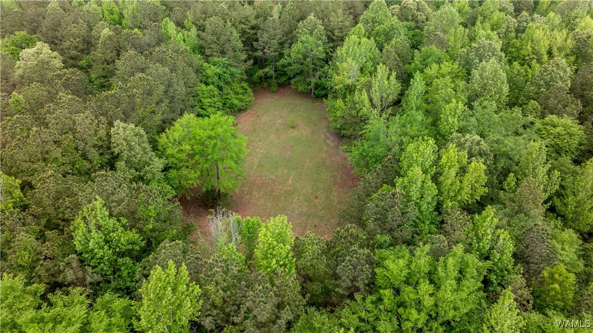 14408 Paul Mills Rd Rd, Buhl, Alabama image 30