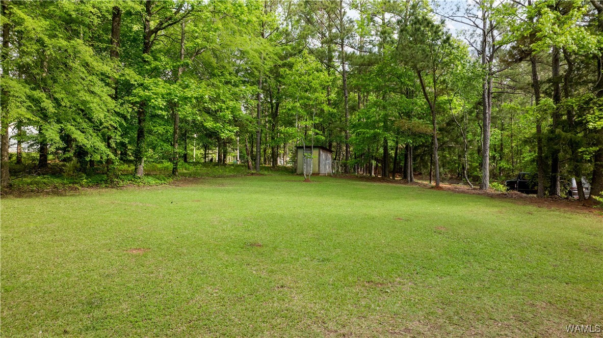 14408 Paul Mills Rd Rd, Buhl, Alabama image 36