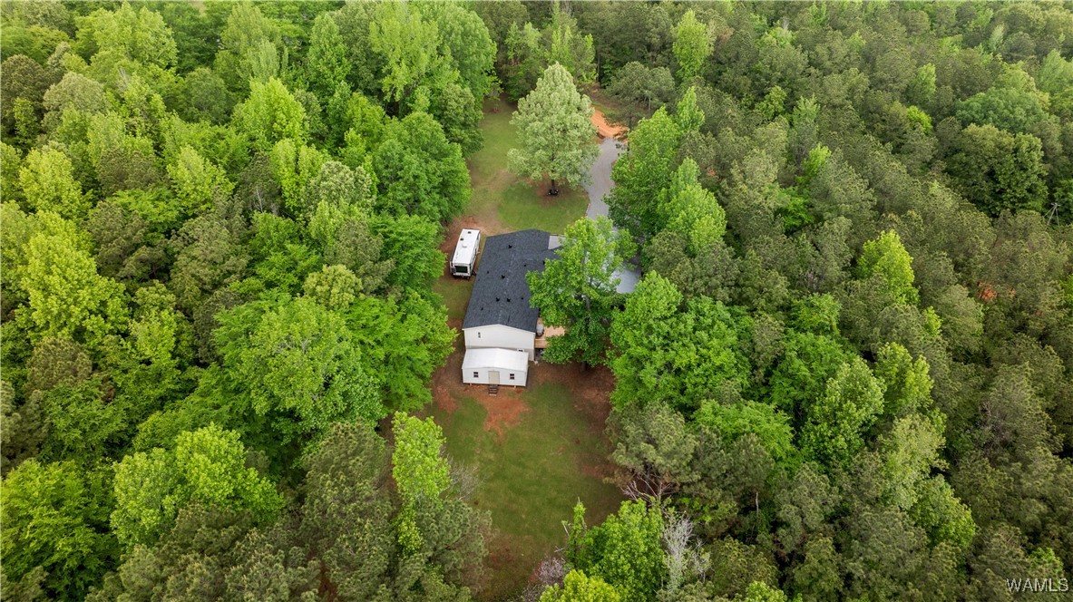 14408 Paul Mills Rd Rd, Buhl, Alabama image 12