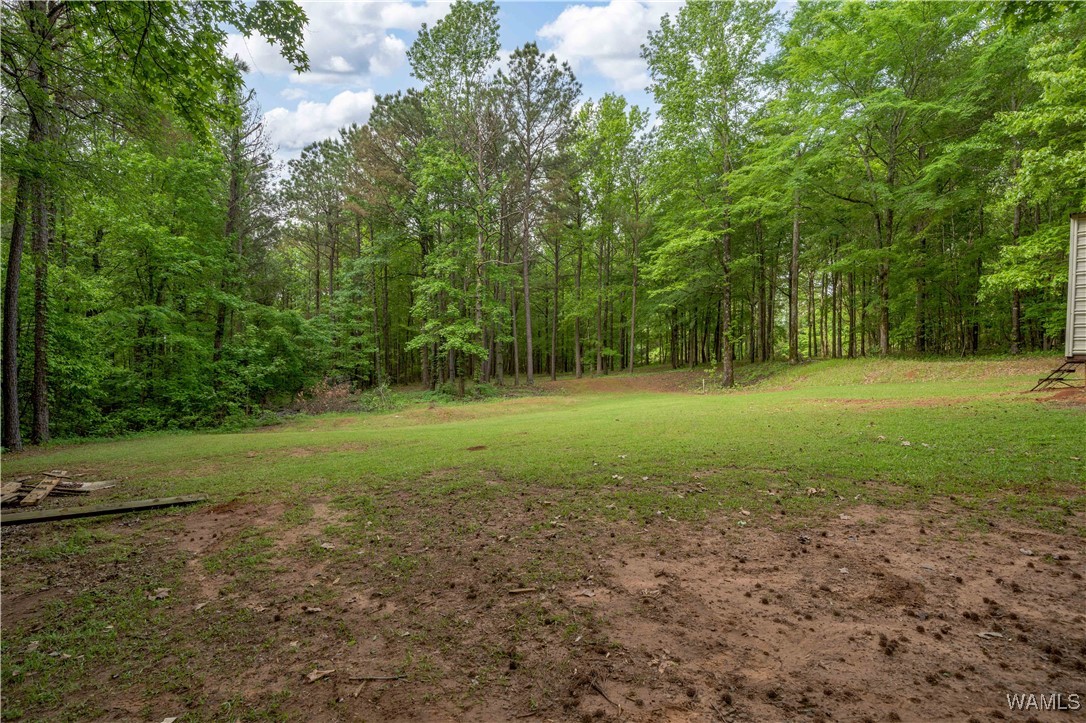 14408 Paul Mills Rd Rd, Buhl, Alabama image 32
