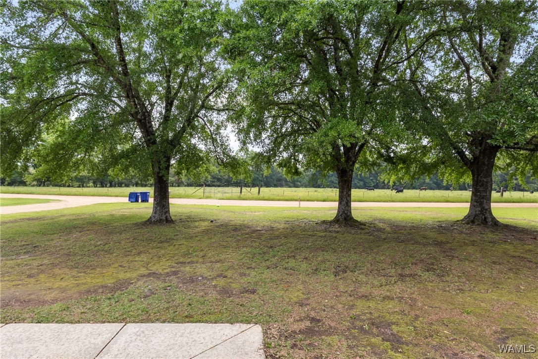 1130 Mccool Rd Rd, Gordo, Alabama image 6
