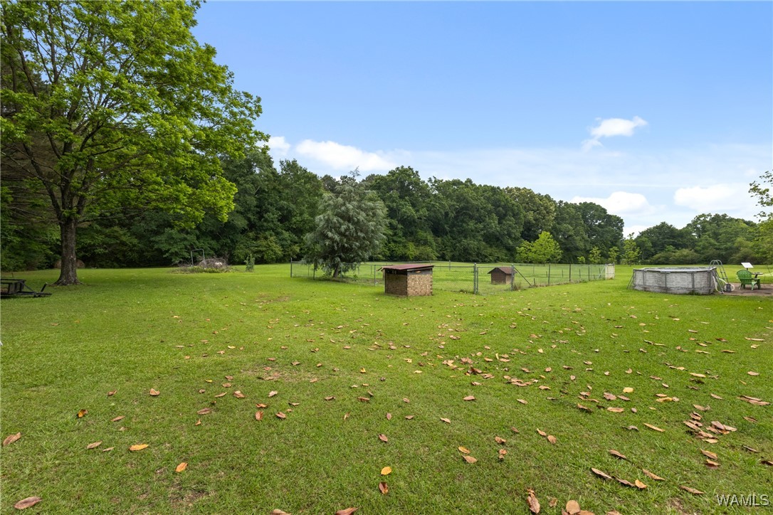 1130 Mccool Rd Rd, Gordo, Alabama image 9