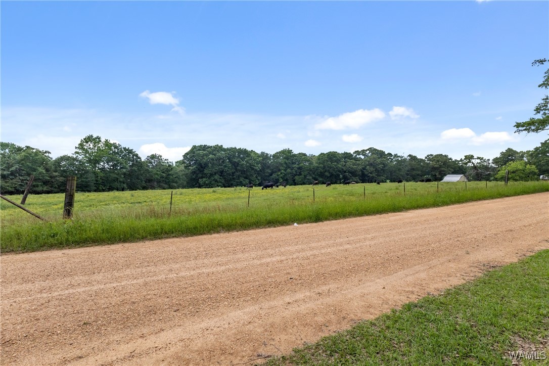 1130 Mccool Rd Rd, Gordo, Alabama image 40
