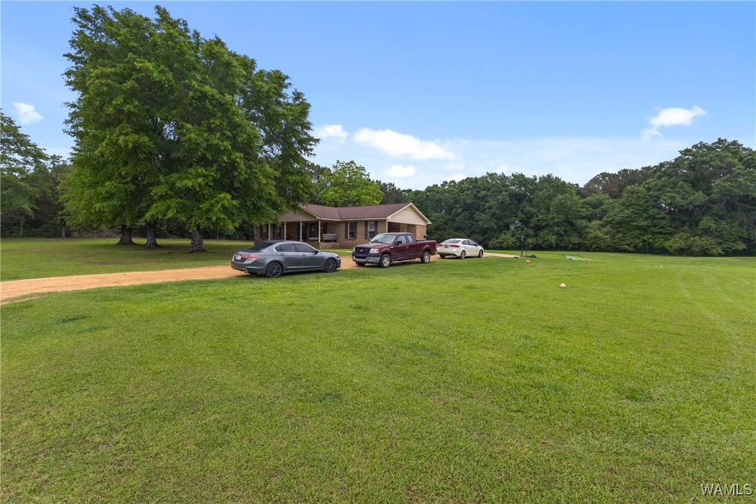 1130 Mccool Rd Rd, Gordo, Alabama image 41