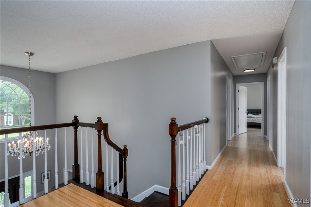 1400 Greymont Lane, Tuscaloosa, Alabama image 16