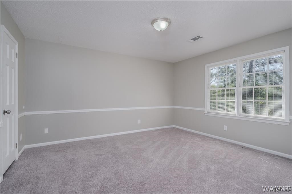 5327 Chestnut Street, Tuscaloosa, Alabama image 24