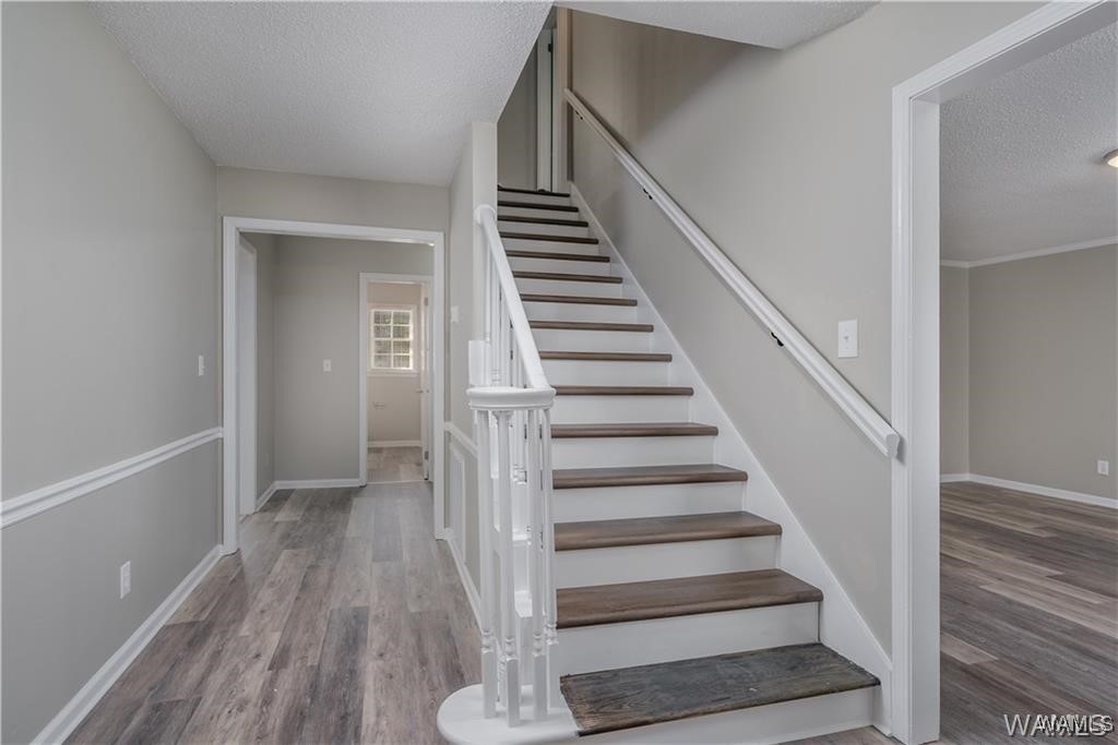 5327 Chestnut Street, Tuscaloosa, Alabama image 18