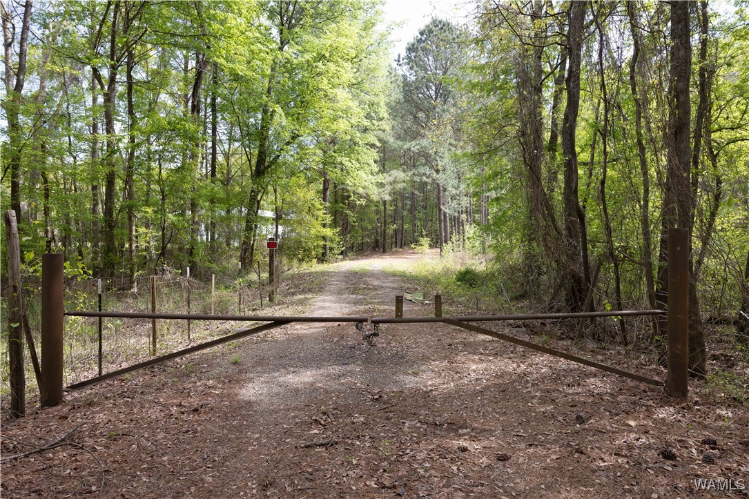 000 Lock 5, Greensboro, Alabama image 6