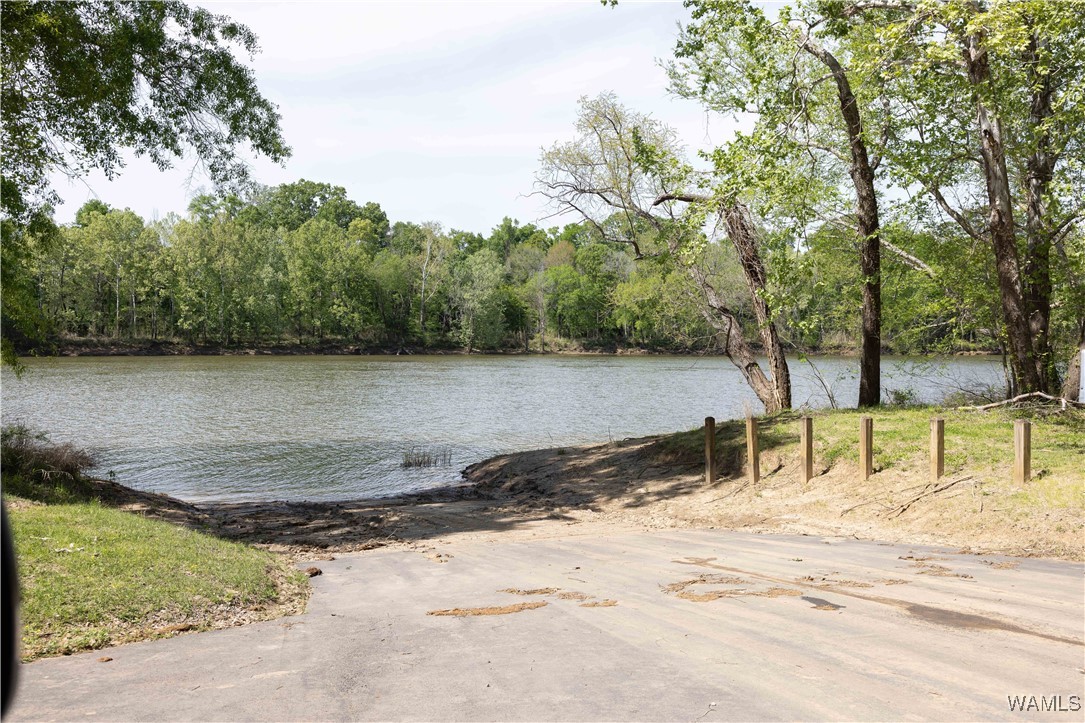 000 Lock 5, Greensboro, Alabama image 7