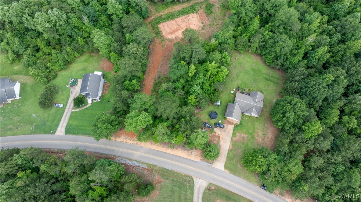 1 Brant Ward Rd, Cottondale, Alabama image 8
