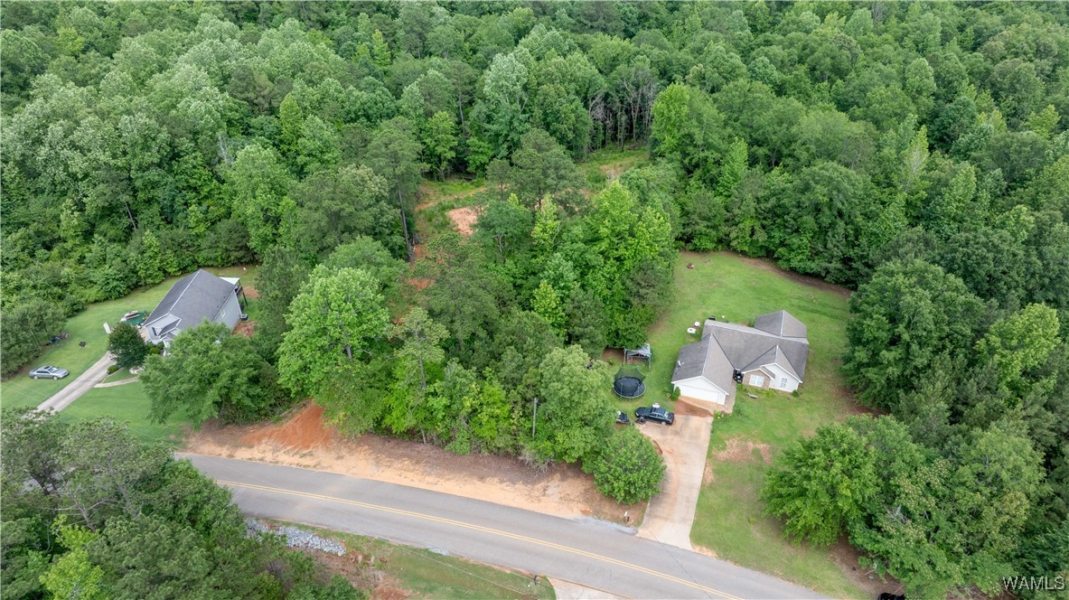 1 Brant Ward Rd, Cottondale, Alabama image 3