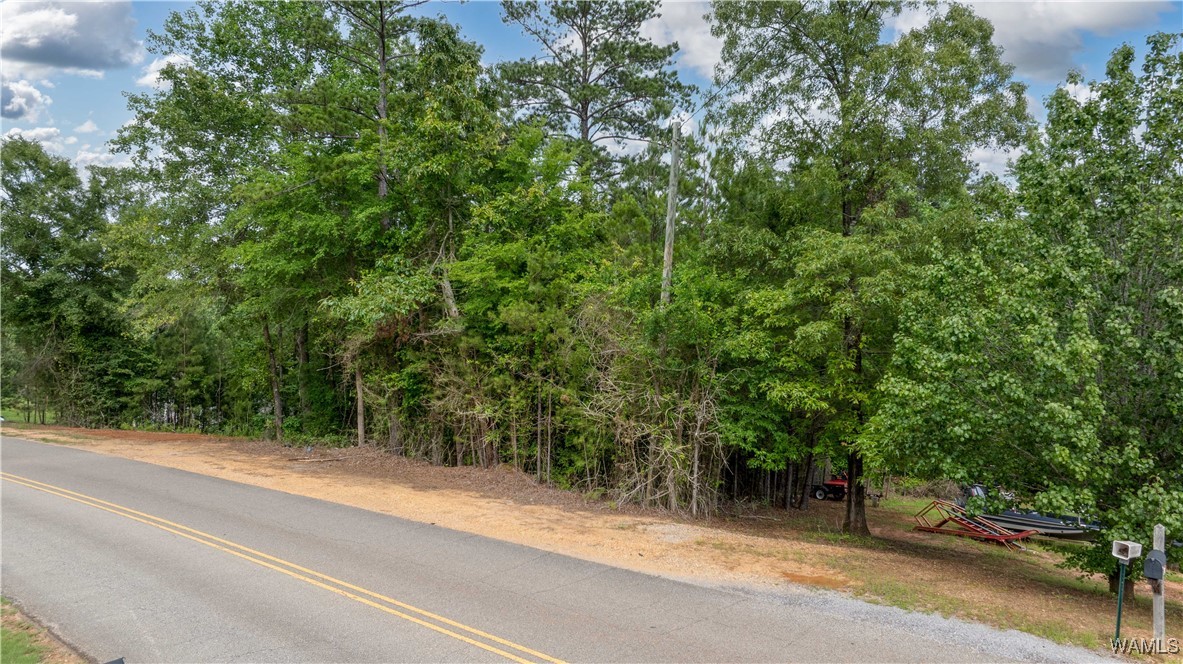 1 Brant Ward Rd, Cottondale, Alabama image 11