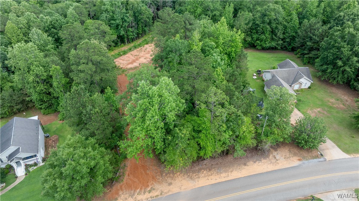 1 Brant Ward Rd, Cottondale, Alabama image 10