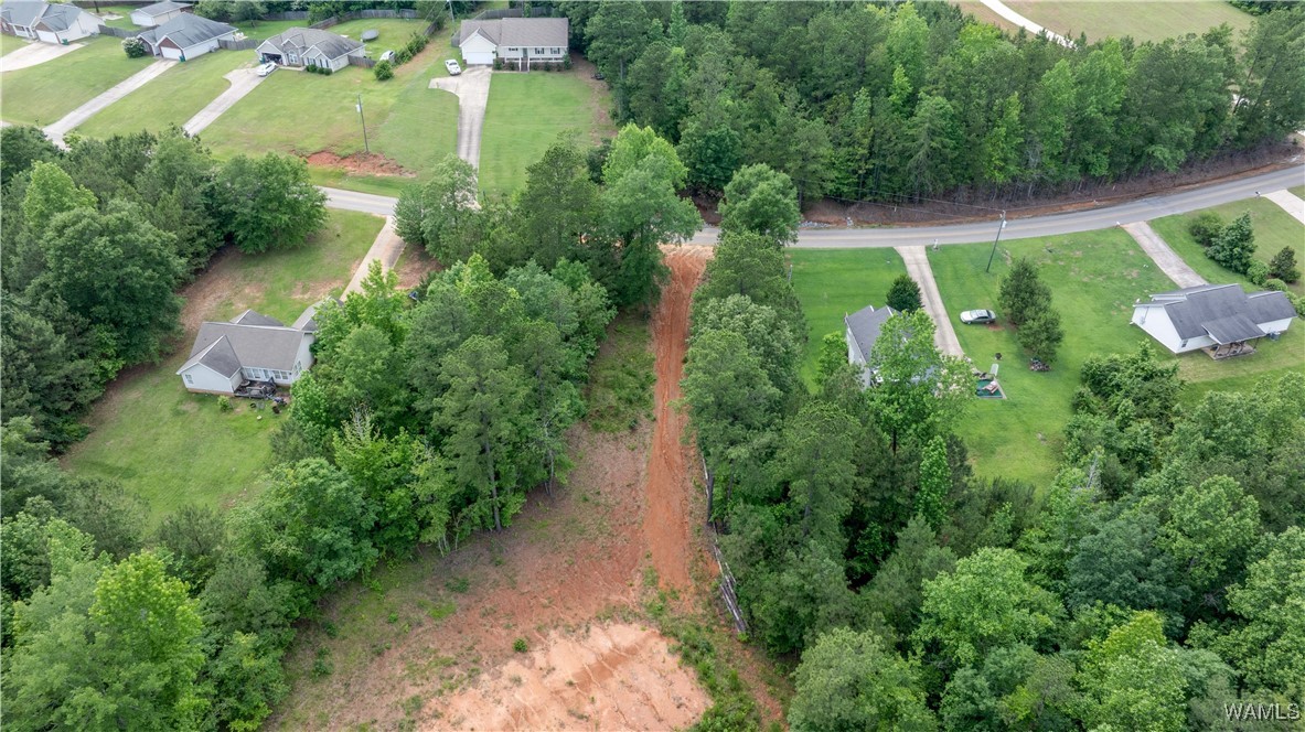 1 Brant Ward Rd, Cottondale, Alabama image 6