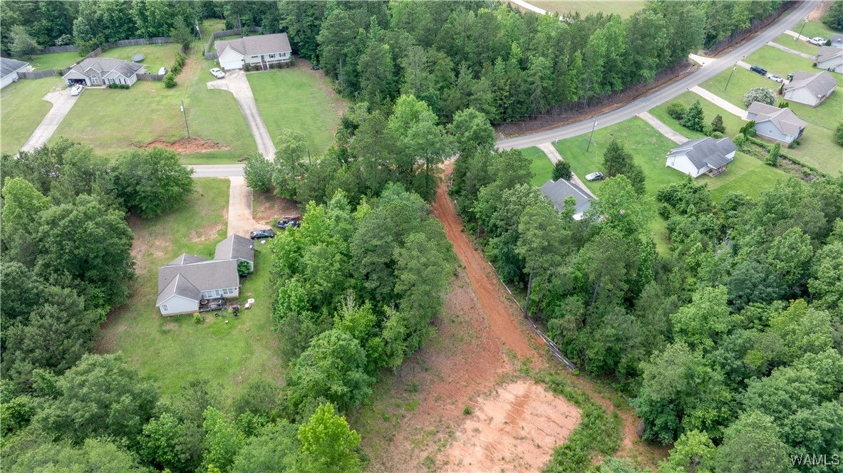1 Brant Ward Rd, Cottondale, Alabama image 5