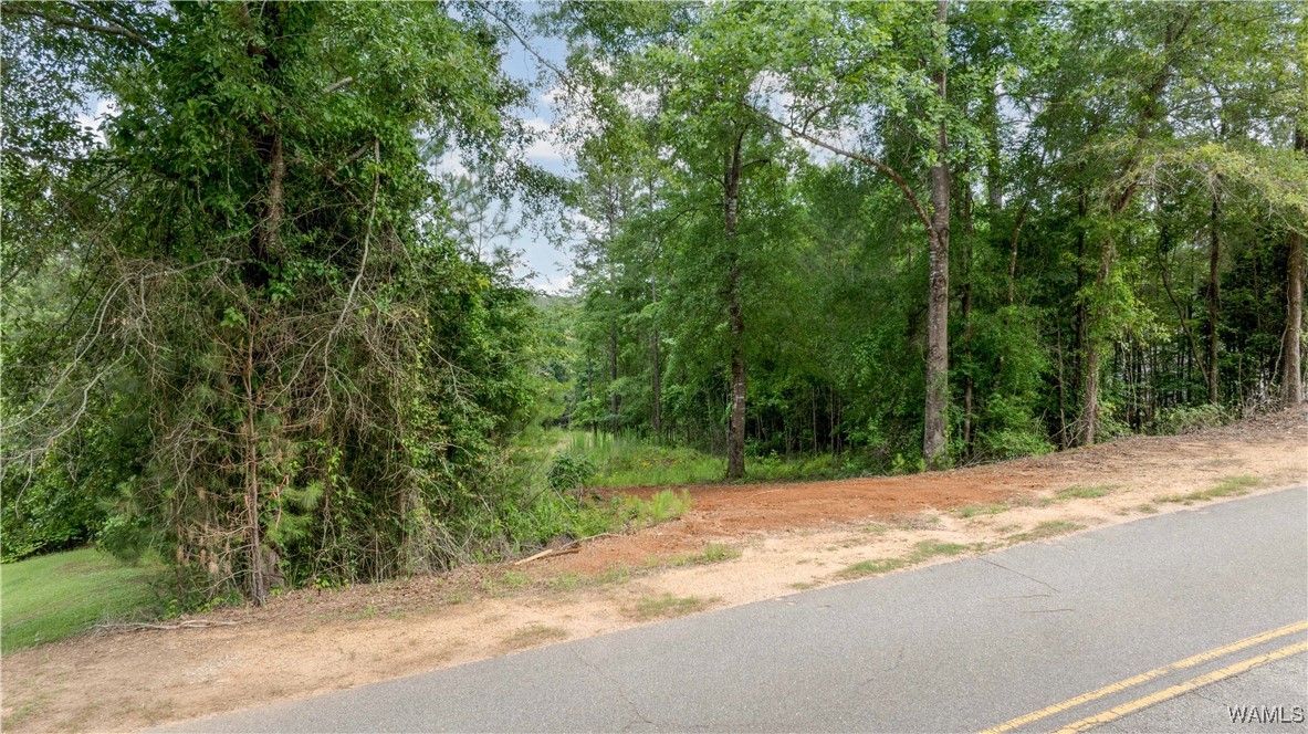 1 Brant Ward Rd, Cottondale, Alabama image 13