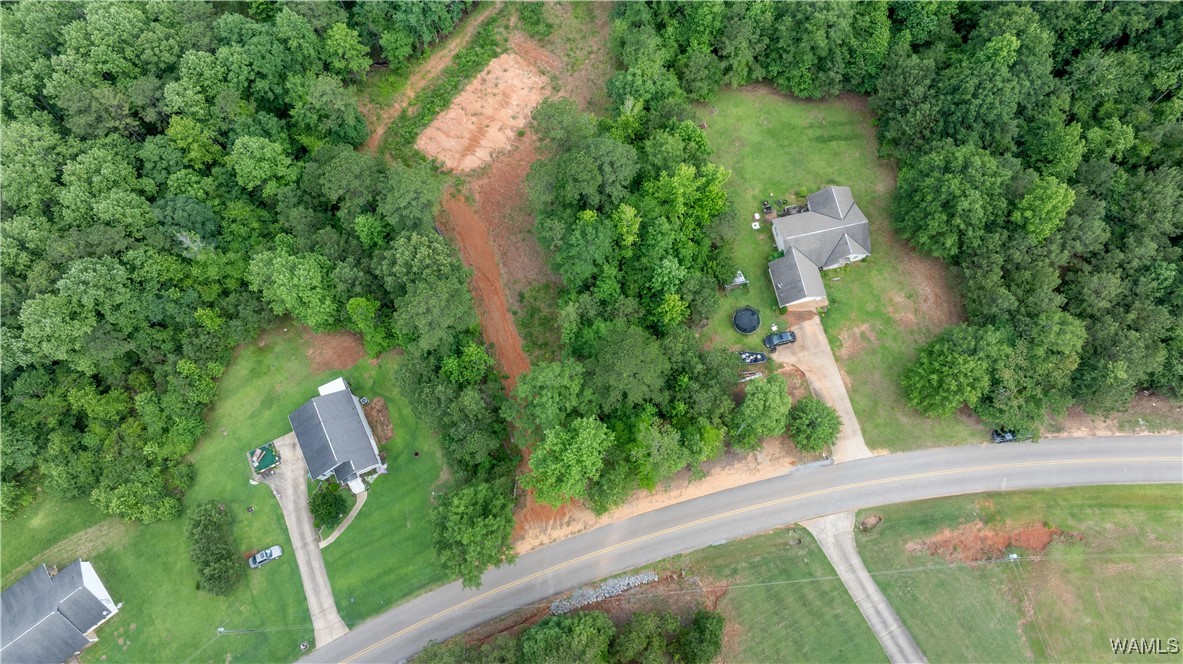 1 Brant Ward Rd, Cottondale, Alabama image 1