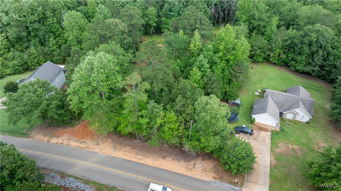 1 Brant Ward Rd, Cottondale, Alabama image 9