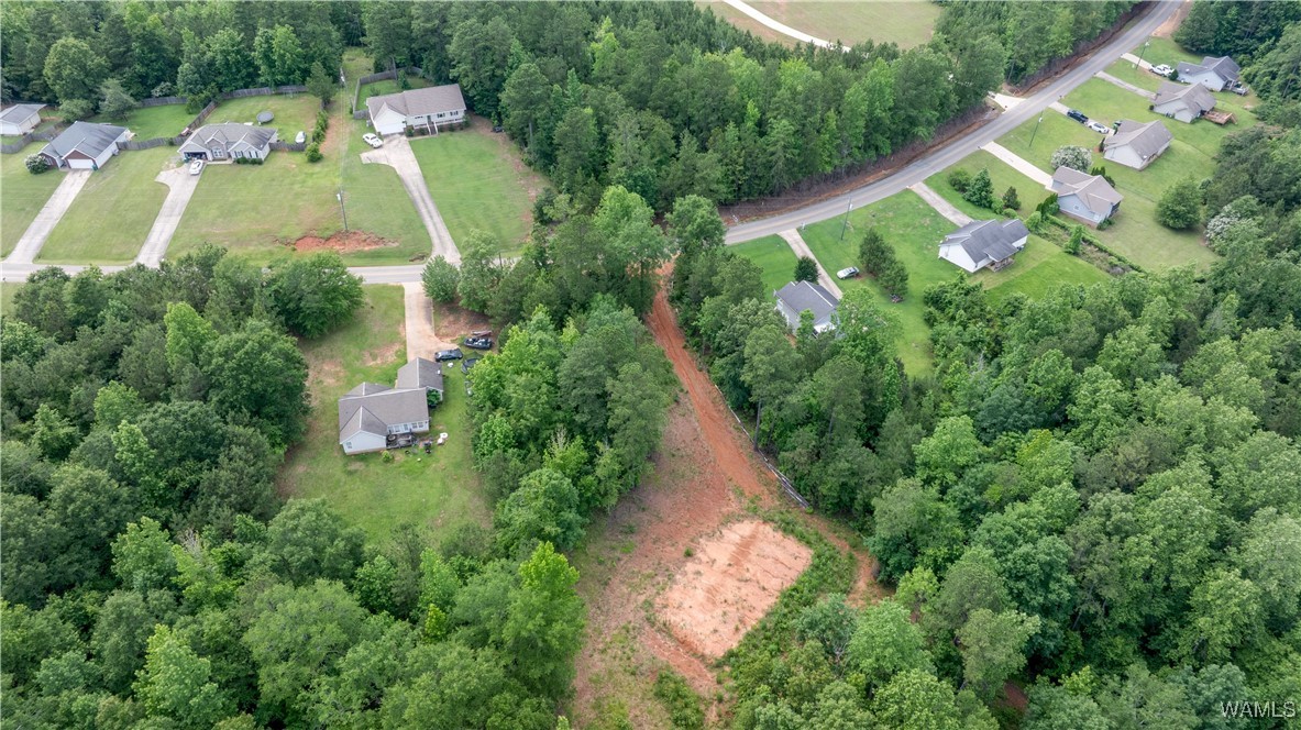 1 Brant Ward Rd, Cottondale, Alabama image 2