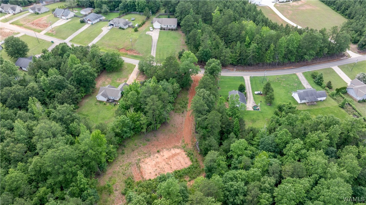 1 Brant Ward Rd, Cottondale, Alabama image 4