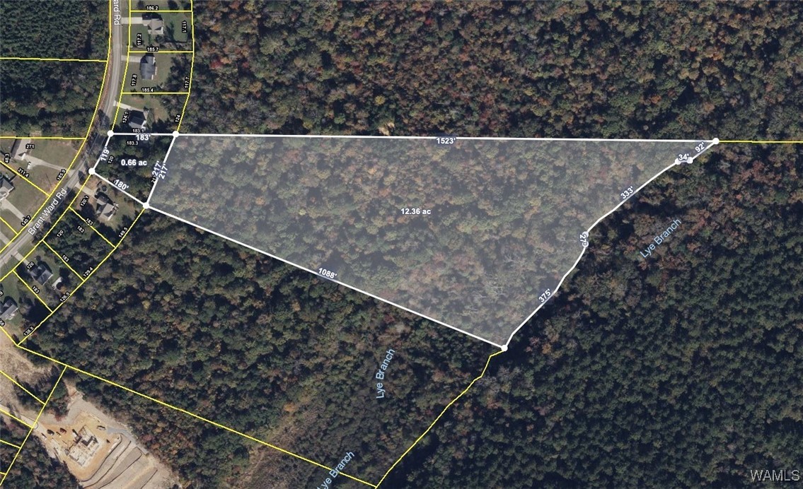1 Brant Ward Rd, Cottondale, Alabama image 14