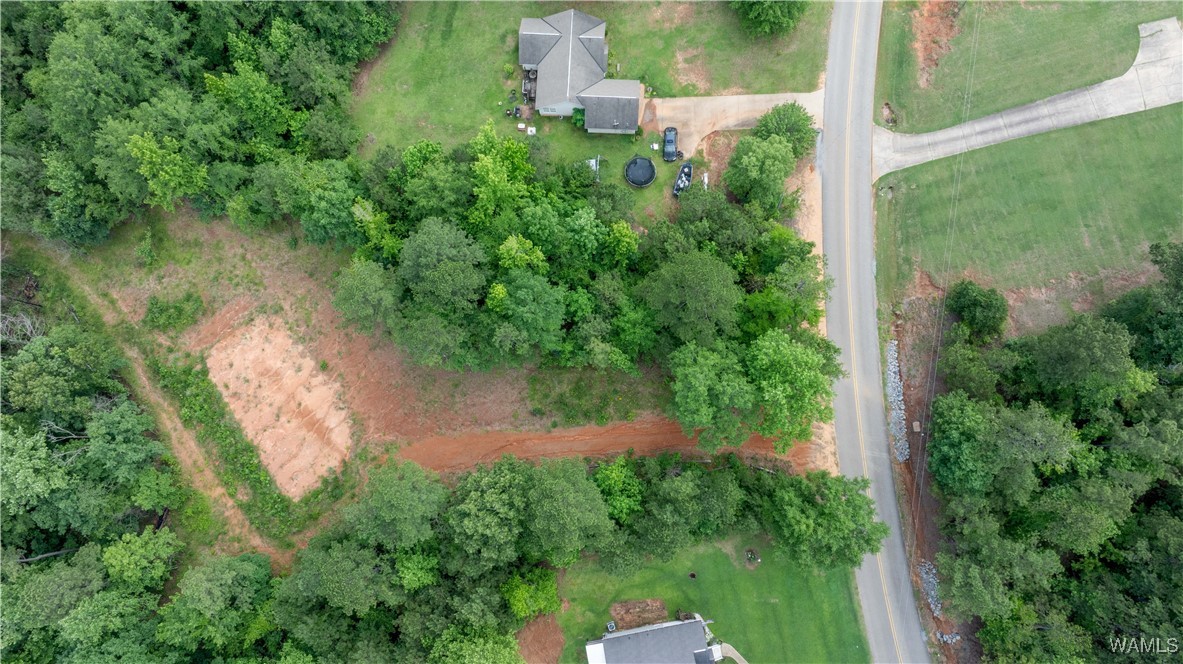 1 Brant Ward Rd, Cottondale, Alabama image 7