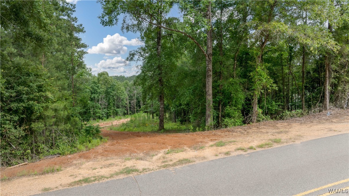 1 Brant Ward Rd, Cottondale, Alabama image 12