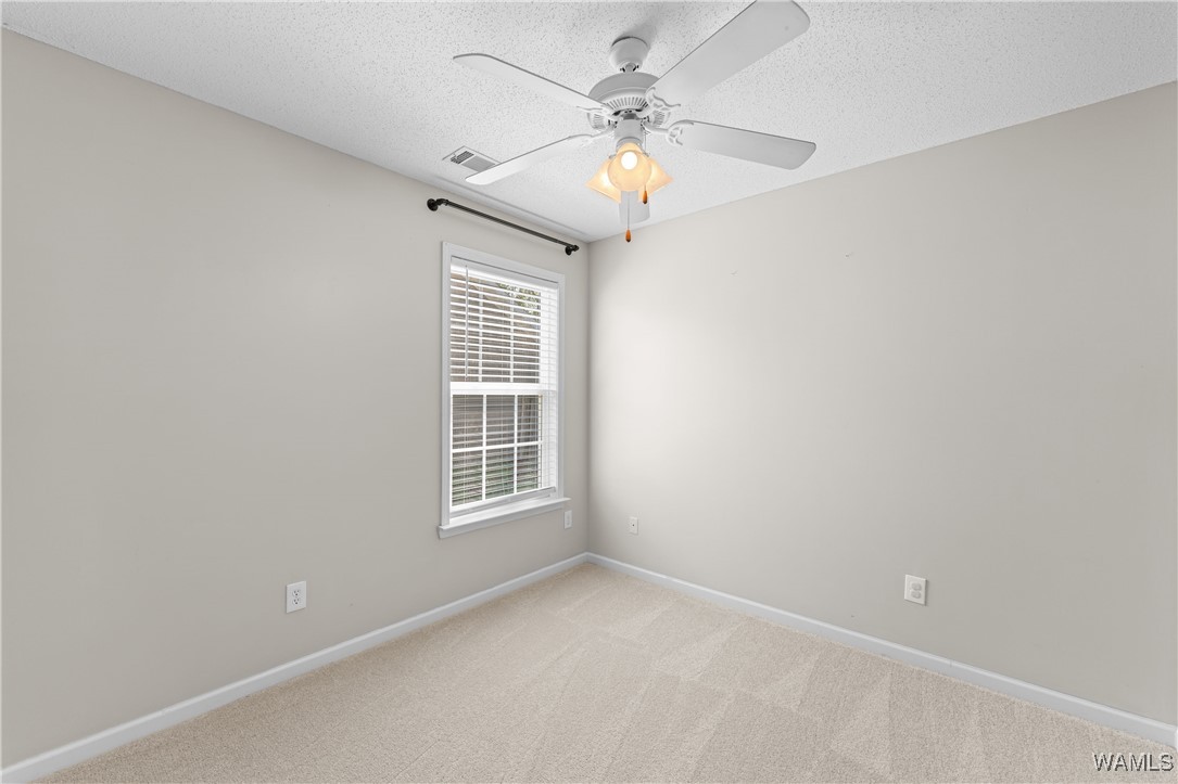 370 Holly Berry Lane, Moundville, Alabama image 11