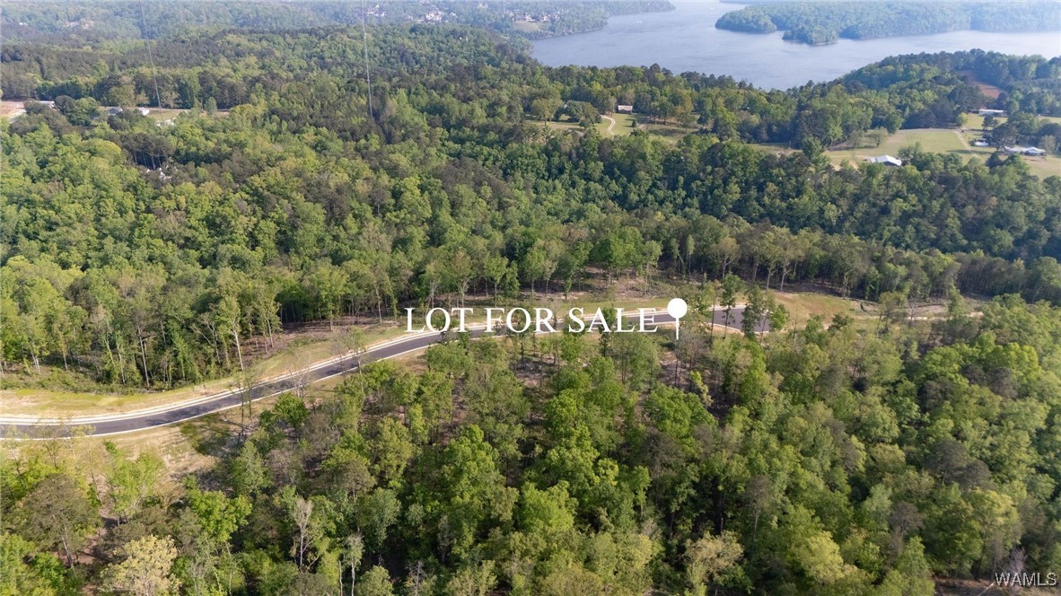 27 Fiji Way, Tuscaloosa, Alabama image 3