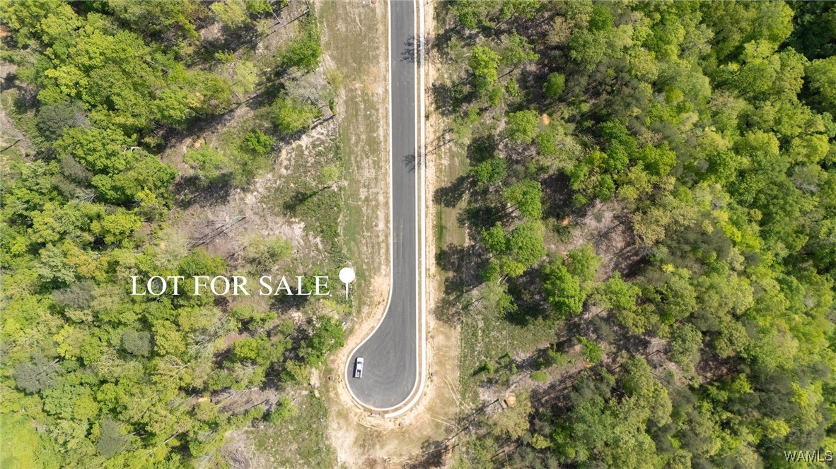 27 Fiji Way, Tuscaloosa, Alabama image 1