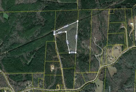 Vacant Land For Sale - 14304 Hargrove Road<br/> Cottondale, AL 35453