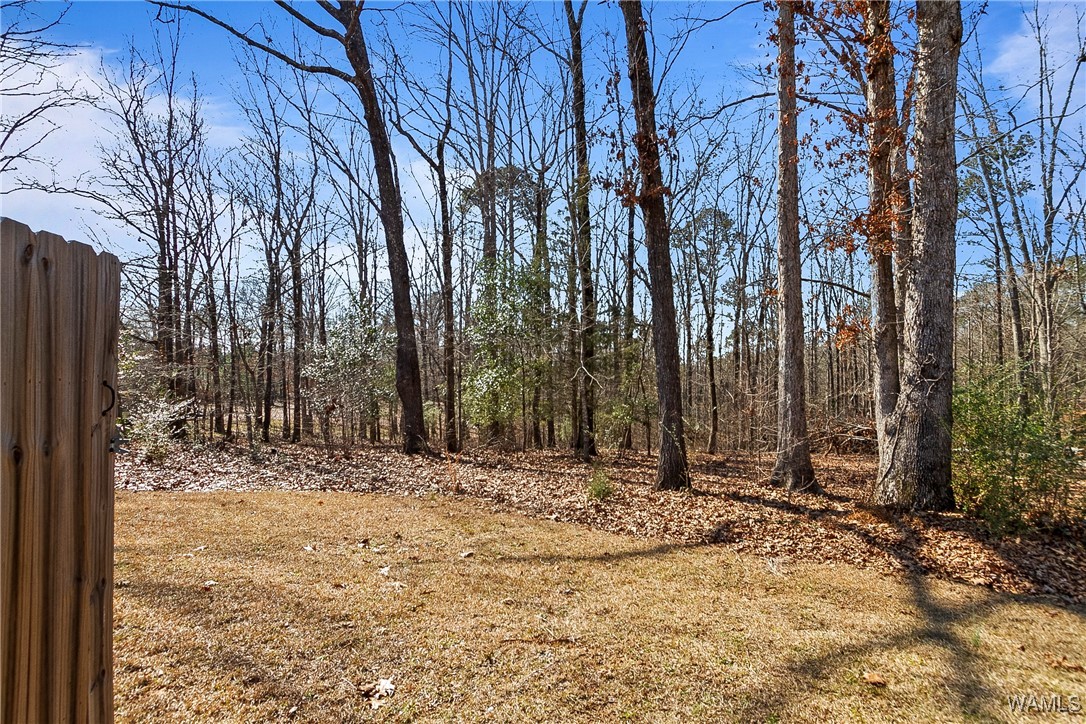 14338 Frank Lary Road, North Port, Alabama image 13