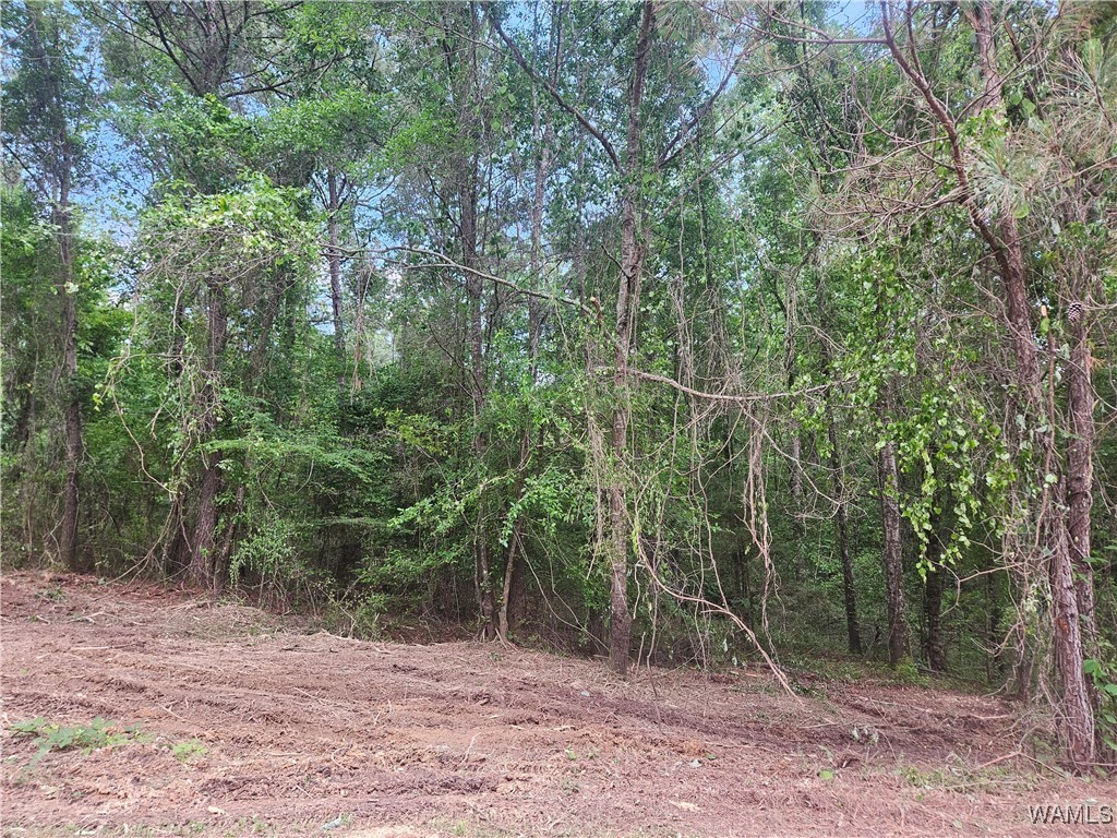 Lot 10 Magnolia Creek, Gordo, Alabama image 1