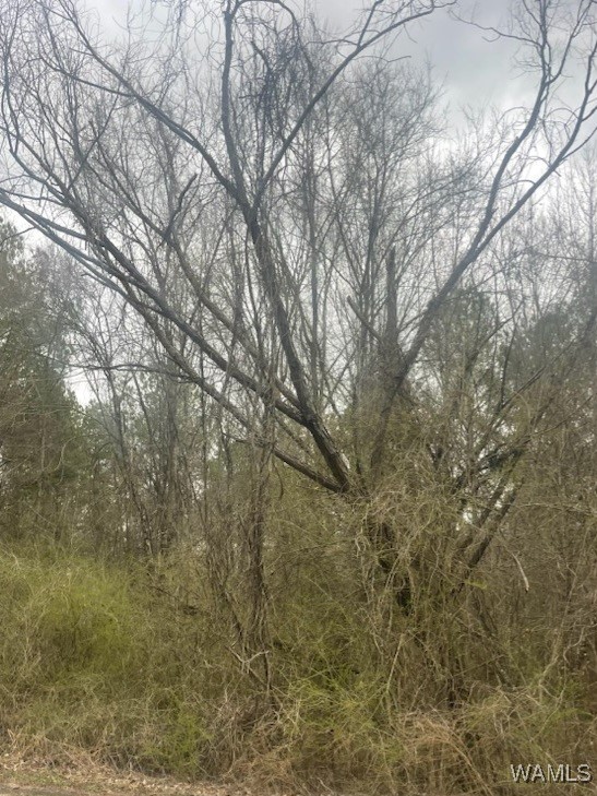 Lot 10 Magnolia Creek, Gordo, Alabama image 1