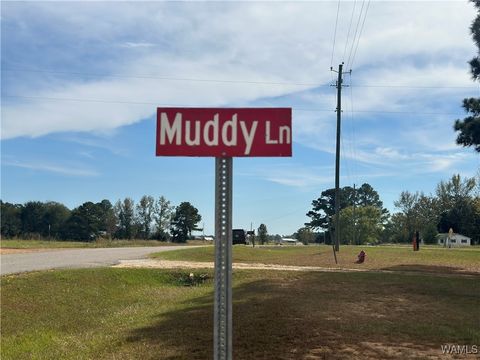 Homes For Sale - 291 Muddy Lane<br/> Reform, AL 35461