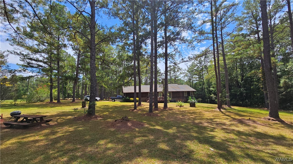 311 Quail Ridge Drive Dr, Linden, Alabama image 32