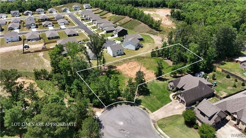 Vacant Land For Sale - Tuliptree Lane<br/> North Port, AL 35475