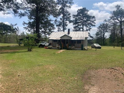 Homes For Sale - 938 Beaver Creek Road<br/> Aliceville, AL 35442