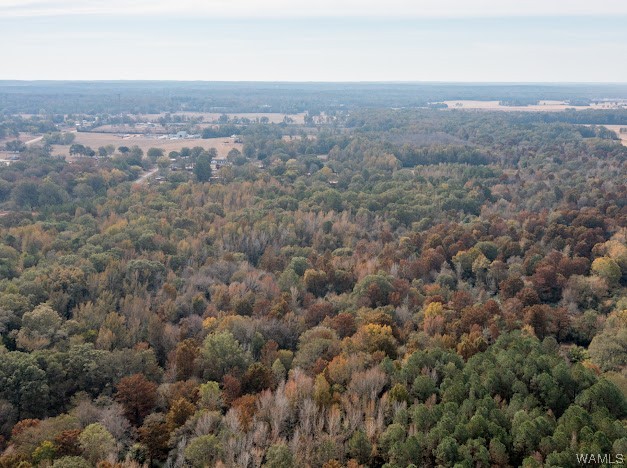 Nw Hwy 69 S & S Byp, Moundville, Alabama image 8