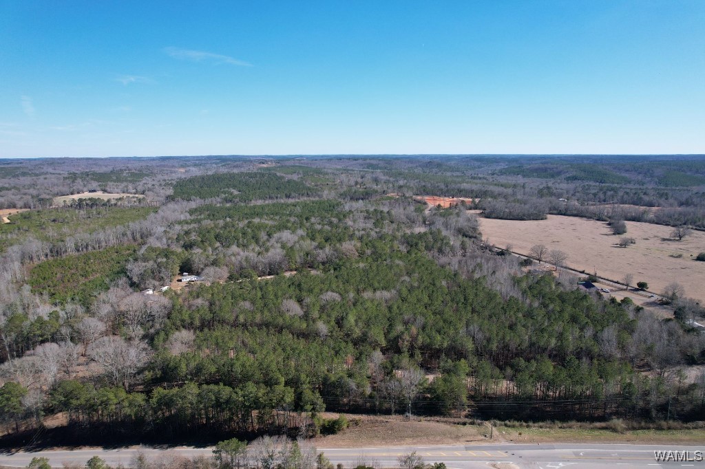 00 Gabriel Creek Road, Moundville, Alabama image 8