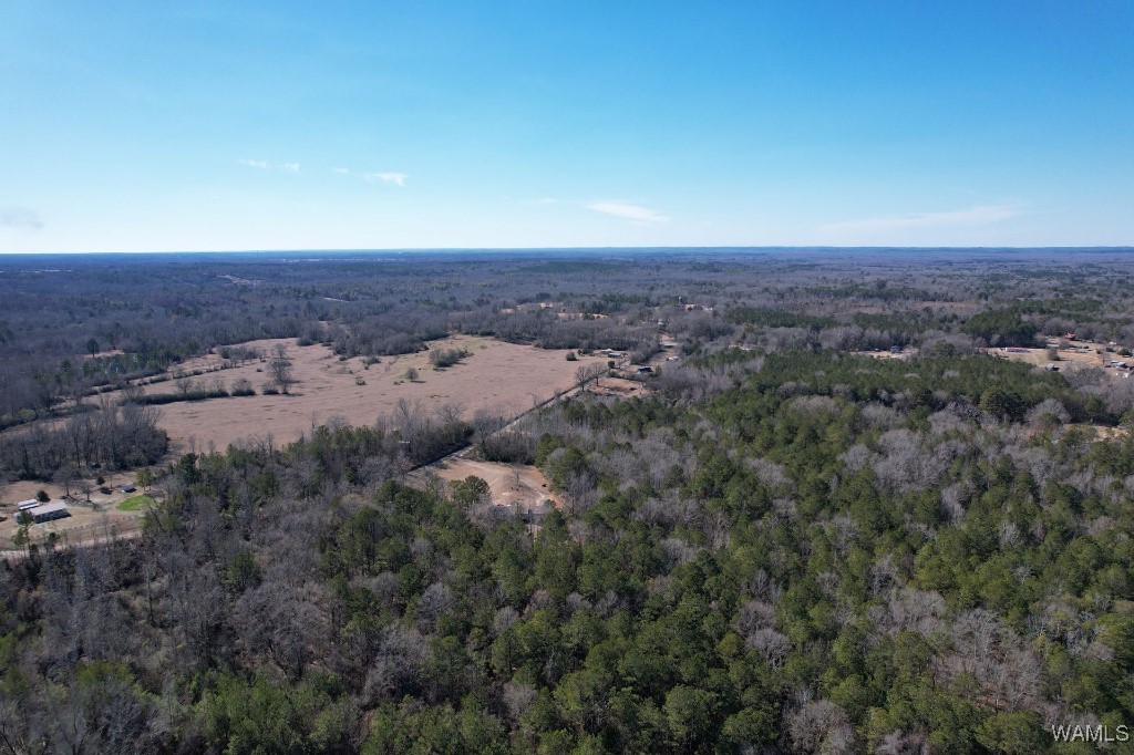 00 Gabriel Creek Road, Moundville, Alabama image 19