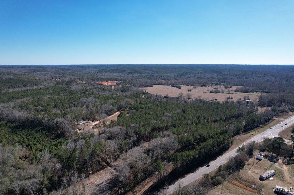 00 Gabriel Creek Road, Moundville, Alabama image 11