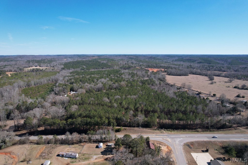 00 Gabriel Creek Road, Moundville, Alabama image 9