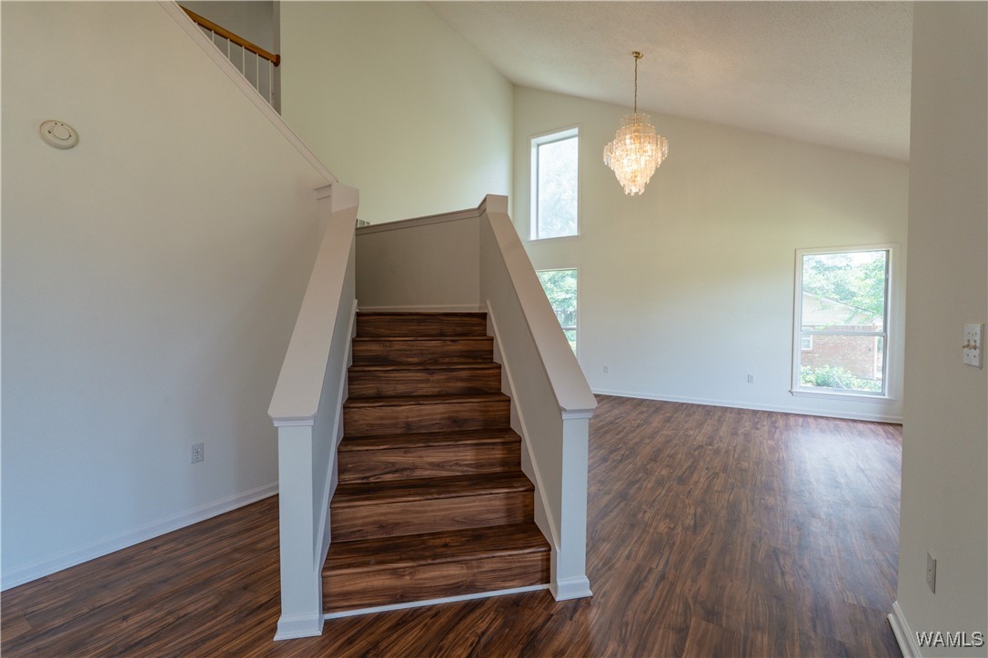 2216 56th Street, Tuscaloosa, Alabama image 10