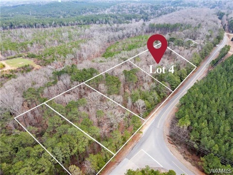 Vacant Land For Sale - LOT 4 Sexton Bend Road<br/> Tuscaloosa, AL 35406