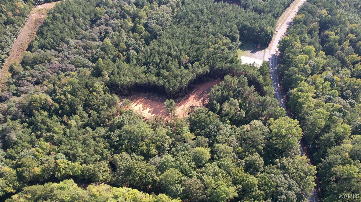 Keenes Mill Rd, Cottondale, Alabama image 2