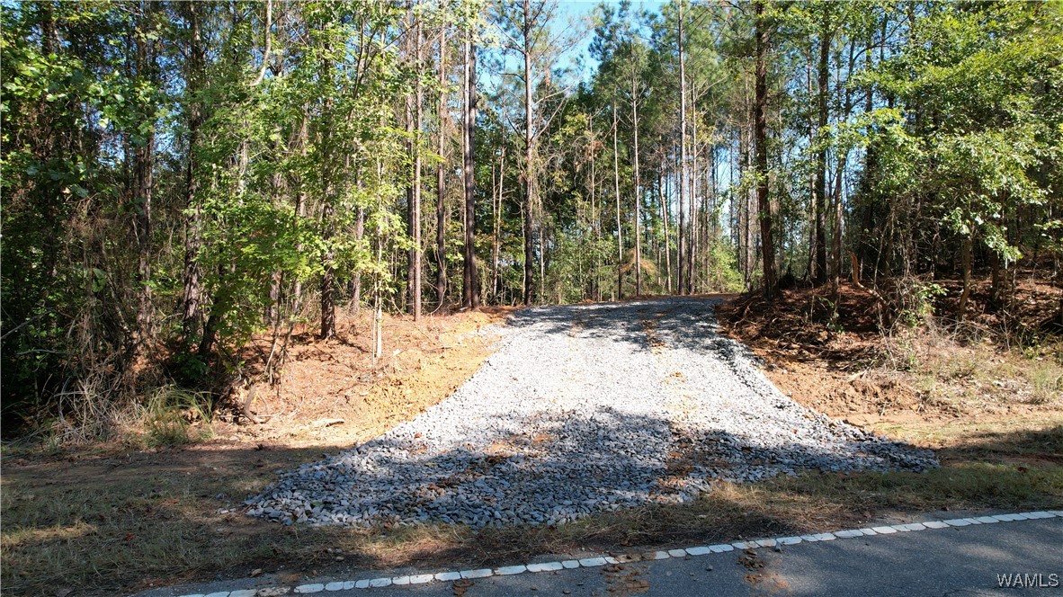 Keenes Mill Rd, Cottondale, Alabama image 1