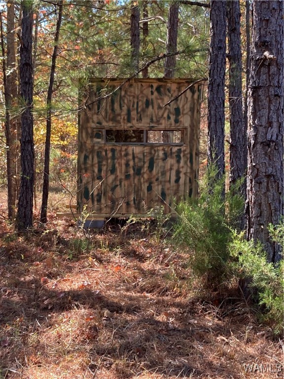 3025 Potato Patch Creek Road, Marion, Alabama image 34
