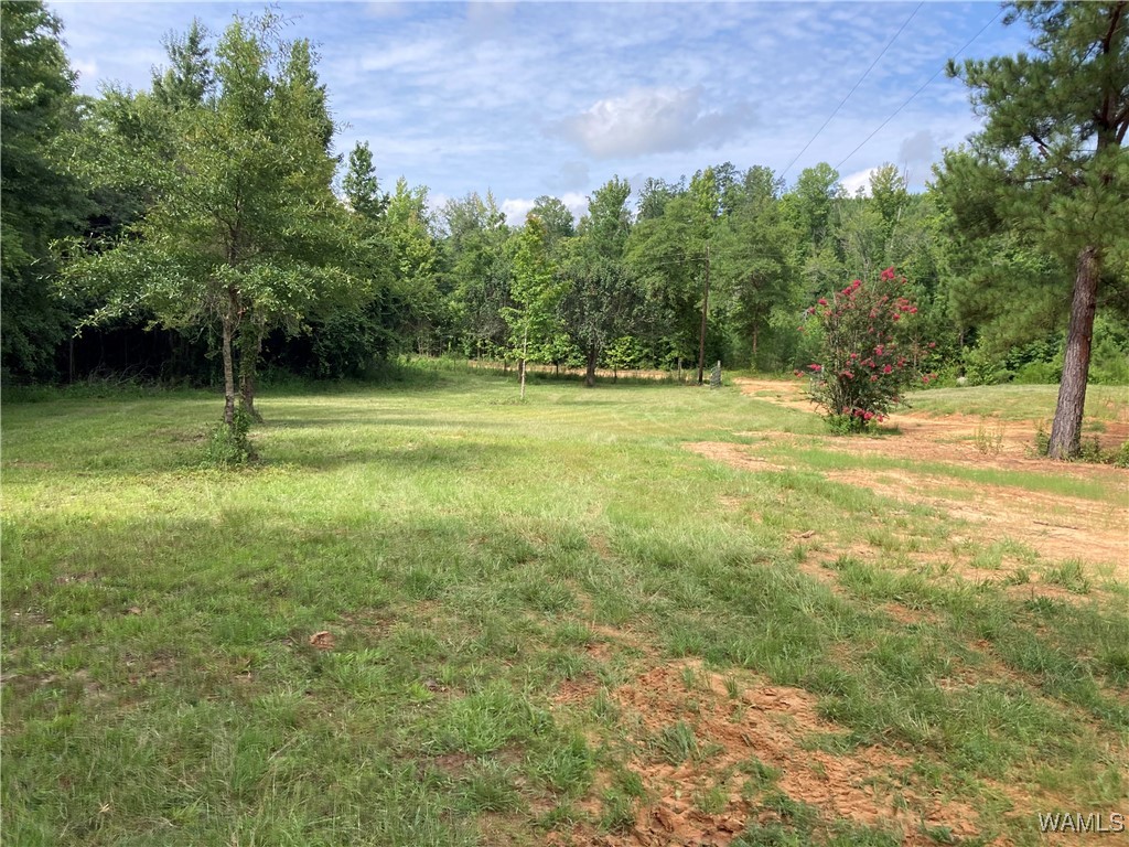 3025 Potato Patch Creek Road, Marion, Alabama image 15