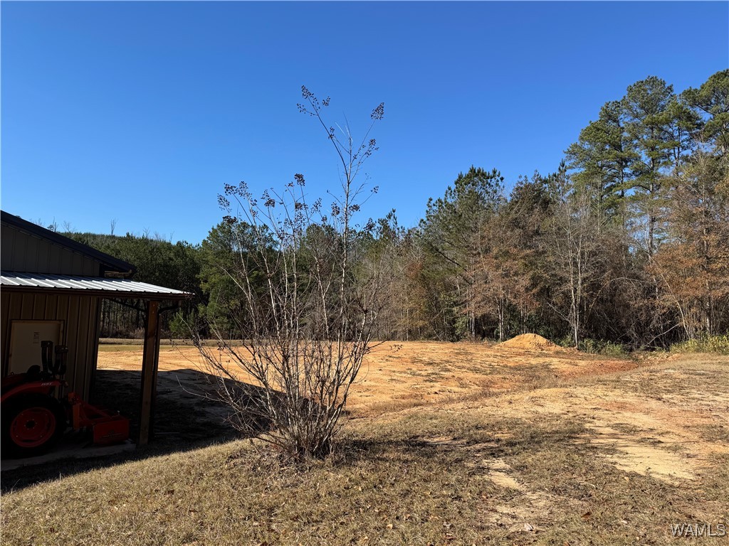 3025 Potato Patch Creek Road, Marion, Alabama image 24